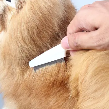 Pet Köpek Saç pire tarağı Paslanmaz Pin Köpek Kedi bakım fırçası Tarak baş biti Algılama Çok Fonksiyonlu Temizleme Aracı