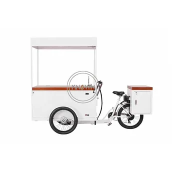 Yetişkin Elektrikli üç Tekerlekli Bisiklet kargo bisikleti Aile Buzdolabı gıda satış arabası buzlu dondurma